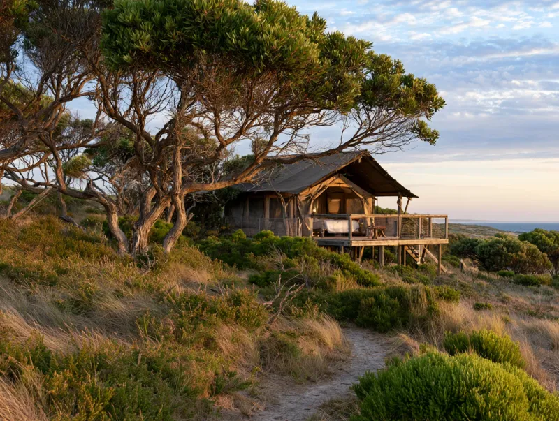 Artist's impression of the fictional GIRL Wilderness Glamping Tent